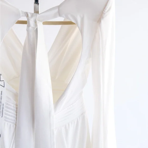 NWT ZHIVAGO THE FAN DRESS Size 6 - Picture 6 of 15